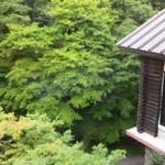 奥入瀬渓流ホテル - 部屋からの風景