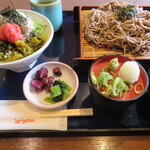 ながさわ - 高菜明太しらす丼ざるセット