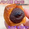 リタ麦の花 - 