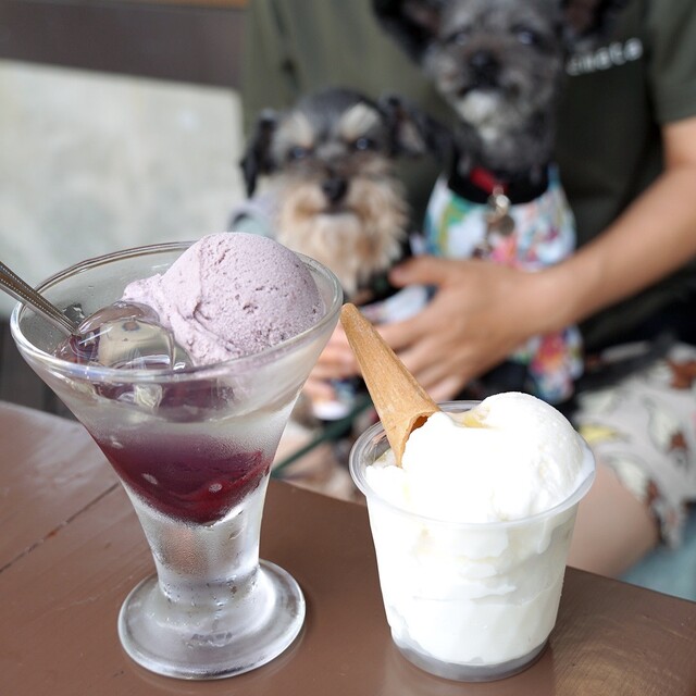 ミニ尾瀬公園 インフォメーションセンター カフェ - 檜枝岐村その他（カフェ）の写真