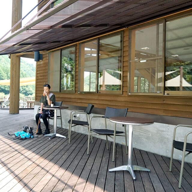 ミニ尾瀬公園 インフォメーションセンター カフェ - 檜枝岐村その他（カフェ）の写真