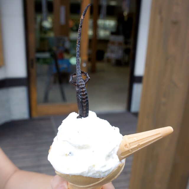 ミニ尾瀬公園 インフォメーションセンター カフェ - 檜枝岐村その他（カフェ）の写真