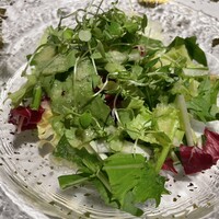 SAMURAI dos Premium Steak House 八重洲鉄鋼ビル店 - サラダ