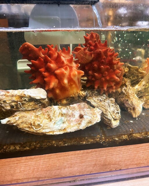 酒と料理 Mock（モック） - 本八戸（創作料理）の写真