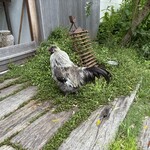 青 AO - 入り口でらお出迎え