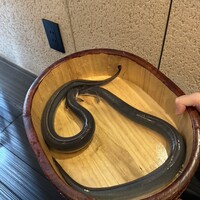銀座 四代目 高橋屋 銀座店 - 