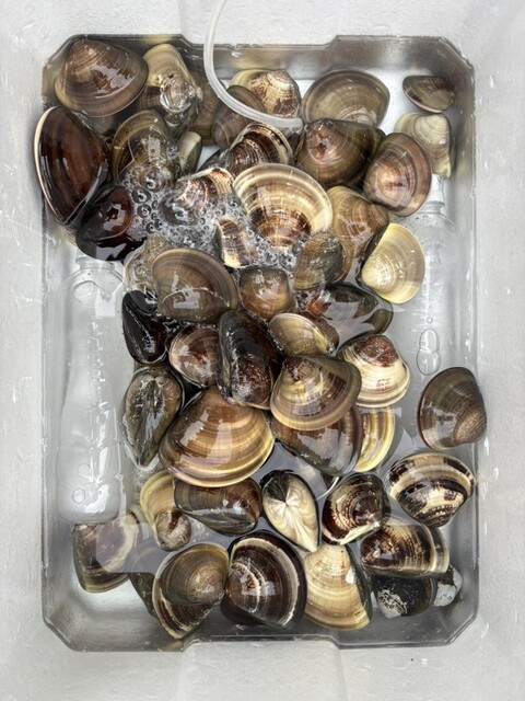 public house craic photo