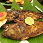 MENEGA CAFE - お勧め ガルーバフィッシュ　