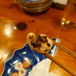 コンペイトウ - 