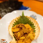 コンペイトウ - 