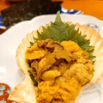 コンペイトウ - 