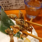 コンペイトウ - 