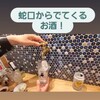大衆蛇口酒場 ぎん天。 銀座コリドー店