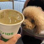 ダパイダン105 - 山椒サワー　３３０円（税込）