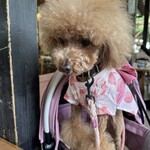 そば処 湧水 - 早く蕎麦をくれとｗｗｗ