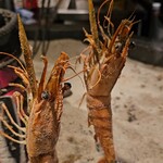 炭火焼きしんかい - 大海老の一本焼き