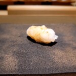 島津 - アオリイカ