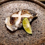 島津 - えぼ鯛一夜干し