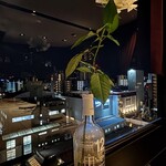 il Cortile - 