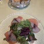 タヴォロッツァ - 