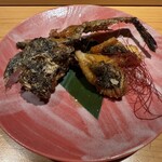 広島 鮨 銀座芝濱 - 