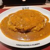 旨辛カレー専門店 白洋亭