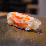 すし処 ひさ田 - レア感がたまらない車海老。