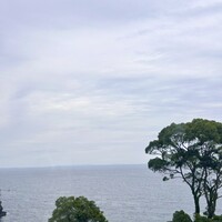 CODA ROSSA - 