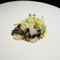 yokoyama - 