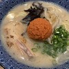 ラーメン つけめん 藤虎