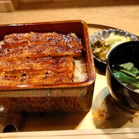 うなぎ 目白ぞろ芽 - 