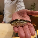 銀座 しのはら - 