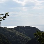 miele - 近くの風景