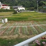 miele - 2階から見える「のじまスコーラ」