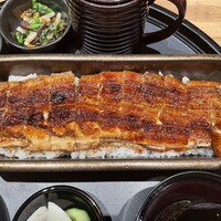 うなぎ四代目菊川 ヒルトンプラザウエスト大阪店 - 