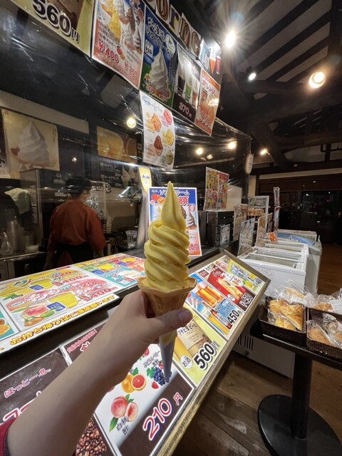 守山　ほたるの湯　10枚セット売り 守山 ほたるの湯 10枚セット売り 守山 天然温泉 ほたるの湯 回数券