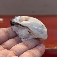 寿司 髙はし - 厚岸の牡蠣