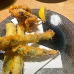 ハカタホタル - 