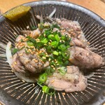 ハカタホタル - 