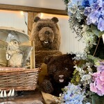 Little Bear Meister - 