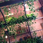 青山フラワーマーケット ティーハウス - 