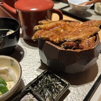 炭焼きうなぎ・かしわ 登河 池下店 - 
