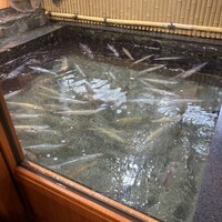 博多料亭 稚加榮 - 