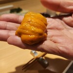 鮨 梵 - オーナーこだわりのバフンウニ、手渡しで。溶けちゃう。