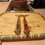 鮨 梵 - この車海老、活きがよすぎて、カウンターを飛び跳ねてお散歩！私、ビックリしすぎて絶叫。一同大爆笑(笑)