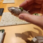 鮨 梵 - 鳥取産鰯
      。薬味の“当たり葱”がパンチが効いていて大好き！これだけで酒が飲める。ちなみに、おろし生姜はすり鉢で擦る前に、繊維が残らないように先に叩くというひと手間を加えてまでの口当たりへの配慮、計算が