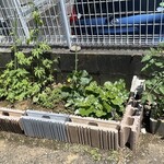 インデアンレストラン  ニューミラ - 