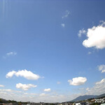 インデアンレストラン  ニューミラ - 