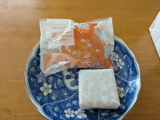 Manshun Do Hanna Sugahara Ten photo 3