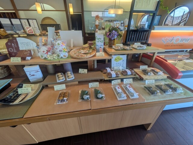 Manshun Do Hanna Sugahara Ten photo 5